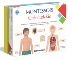Montessori Ciało ludzkie